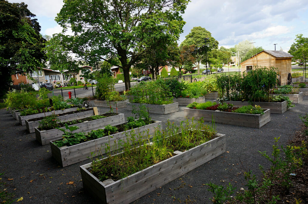 Jardin communautaire