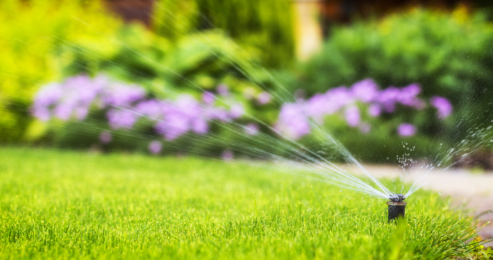 New lawn watering rules