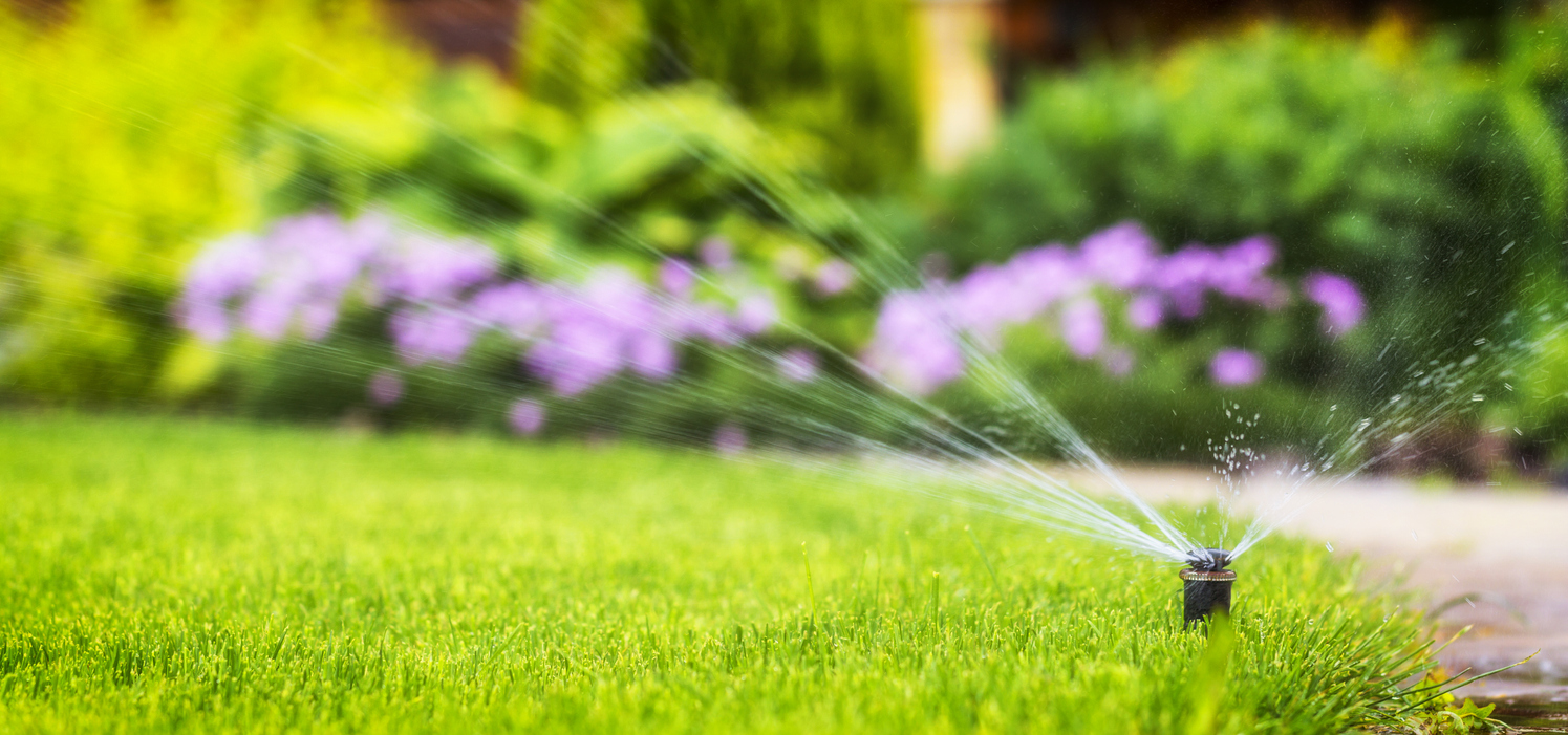 Lawn watering rules
