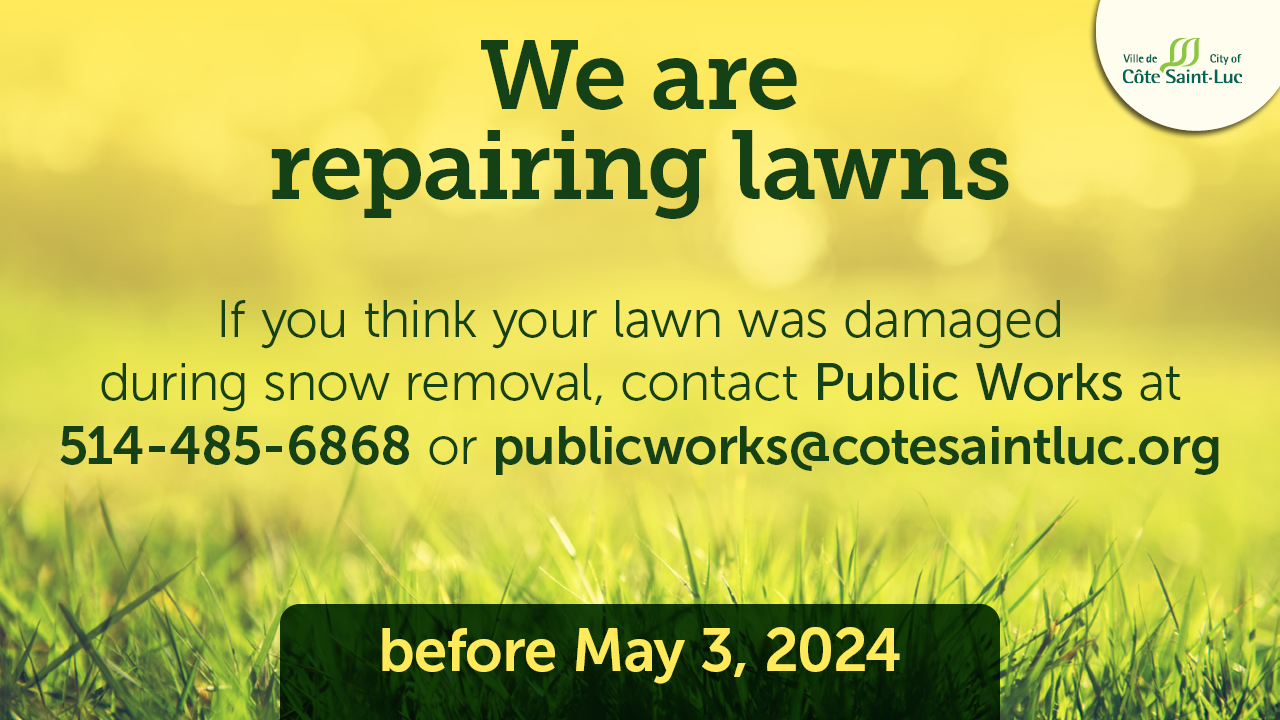 We are repairing lawns